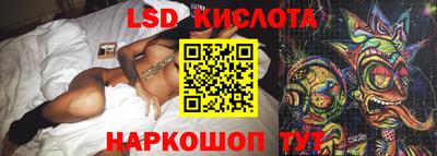 прущие грибы Пенза